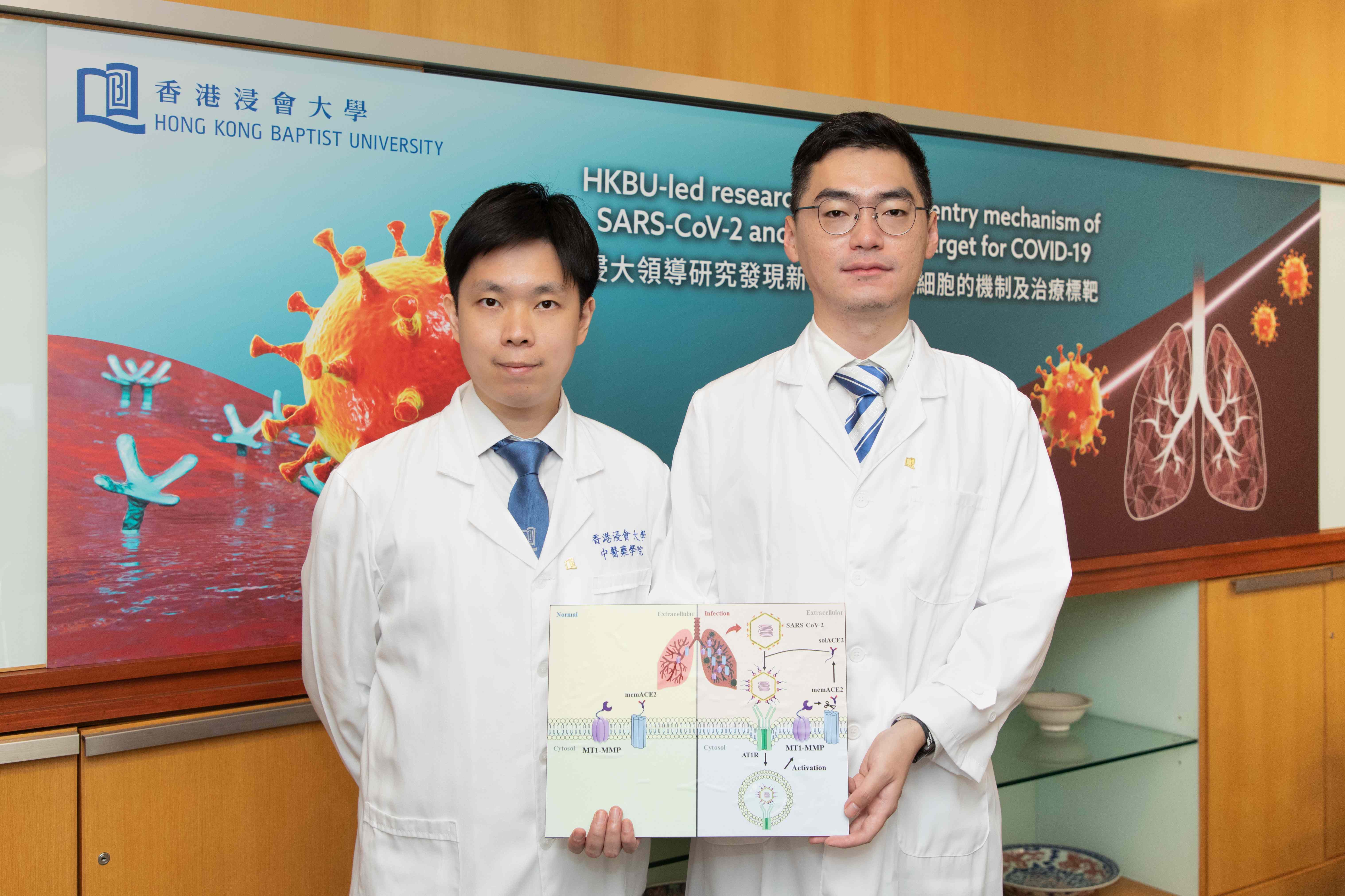 Hong Kong Baptist University-led research unveils cell entry mechanism ...